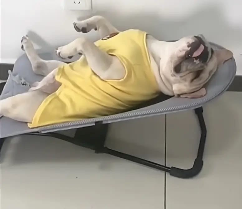 MESEDORA PARA MASCOTAS